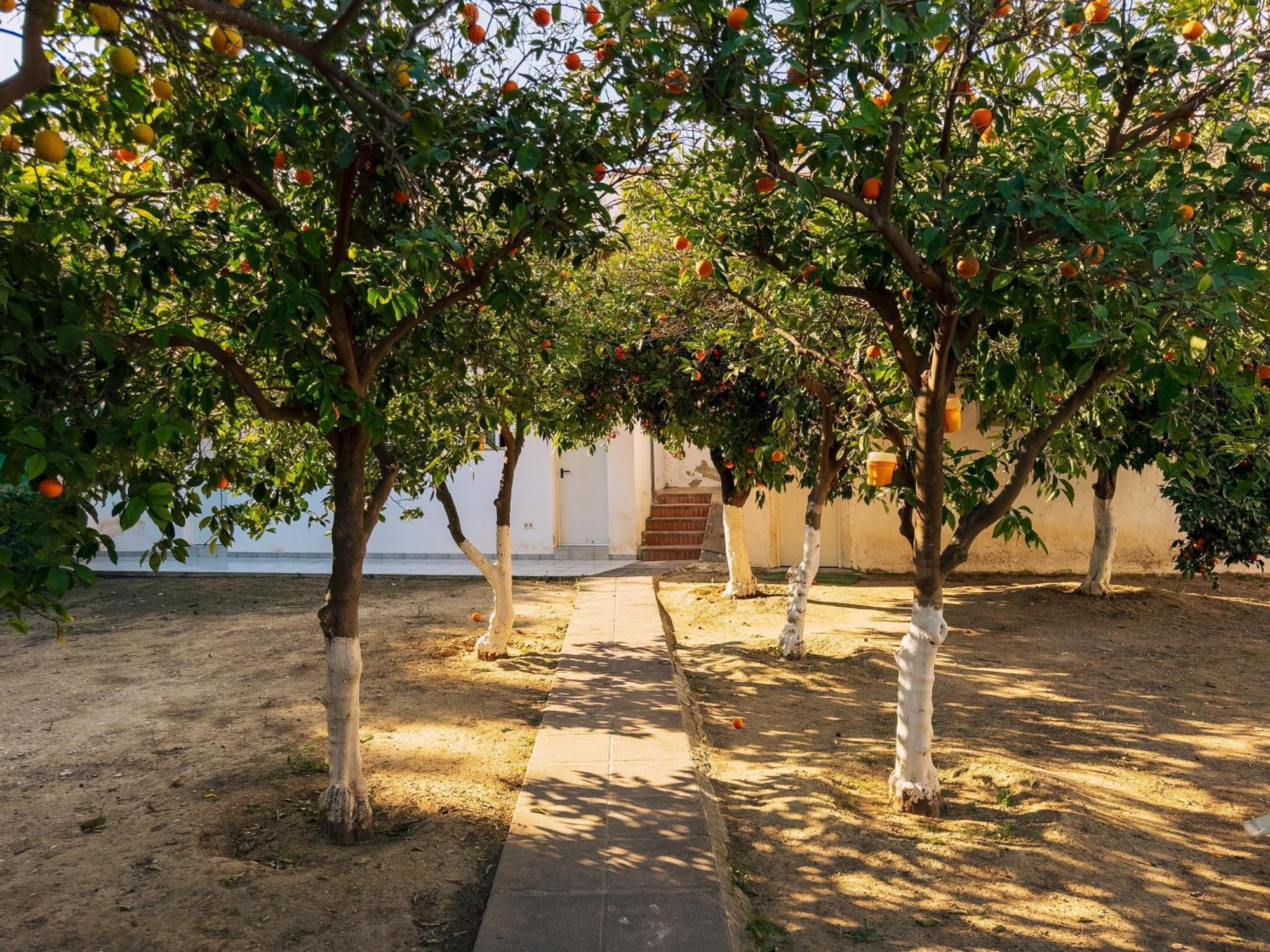 Charming Country House Torremolinos Exterior photo